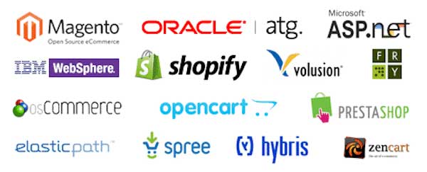 E-Commerce Platforms